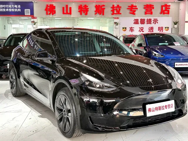 Tesla Model Y — Фото автомобиля 2
