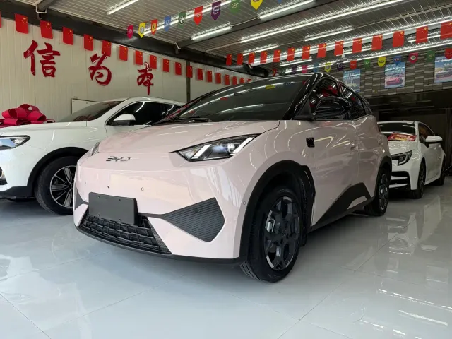 Фотография автомобиля — BYD Seagull