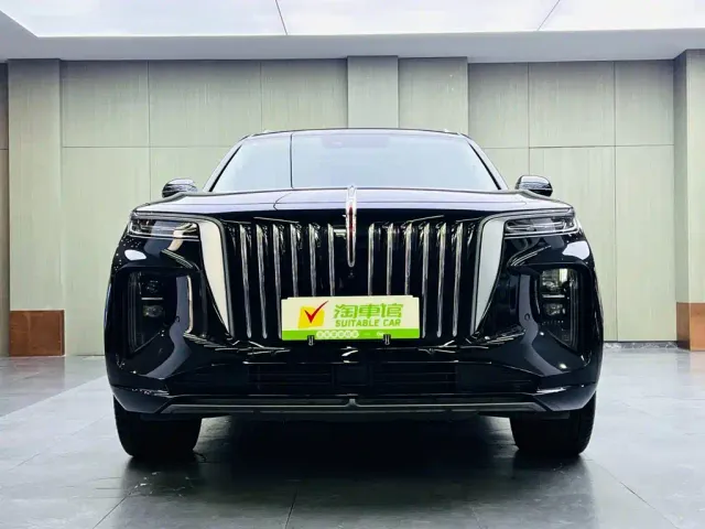 Hongqi E-HS9 — Фото автомобиля 2