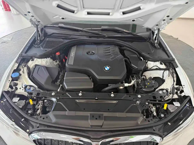 BMW 3 Series — Фото автомобиля 21