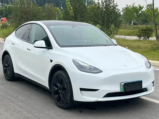 Tesla Model Y — Фото автомобиля 3
