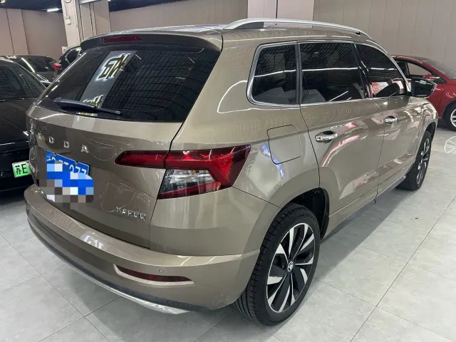 Skoda Karoq — Фото автомобиля 6