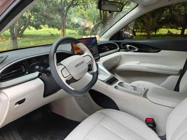 Geely Starry Wish — Фото автомобиля 9