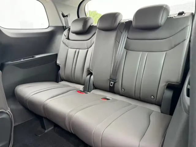 Maxus Dajia 7 — Фото автомобиля 11