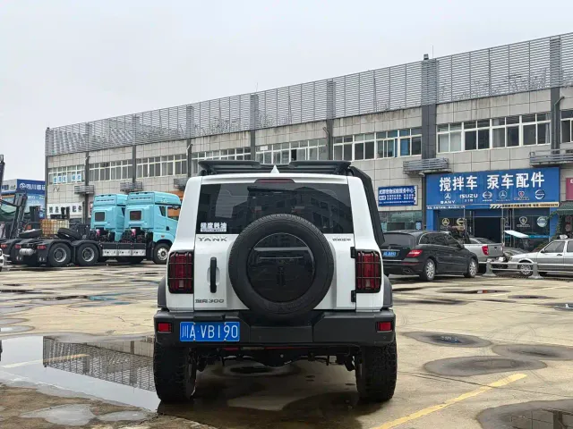 Tank Tank 300 2023 Off-Road Edition 2.0T Conqueror — Фото автомобиля 6