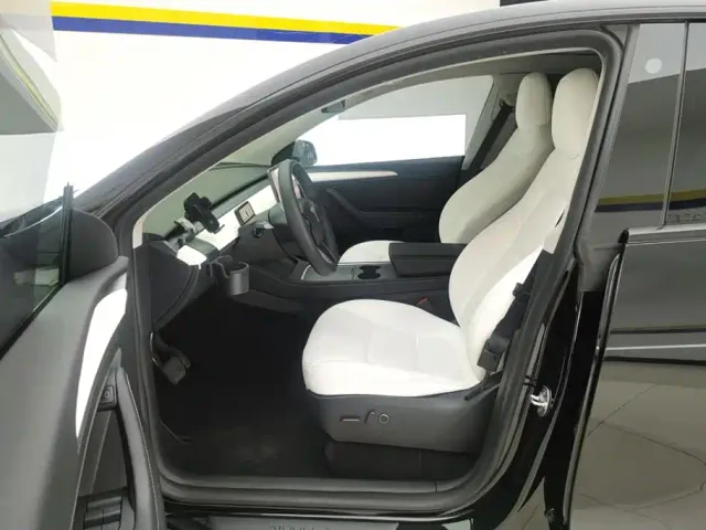 Tesla Model Y — Фото автомобиля 9
