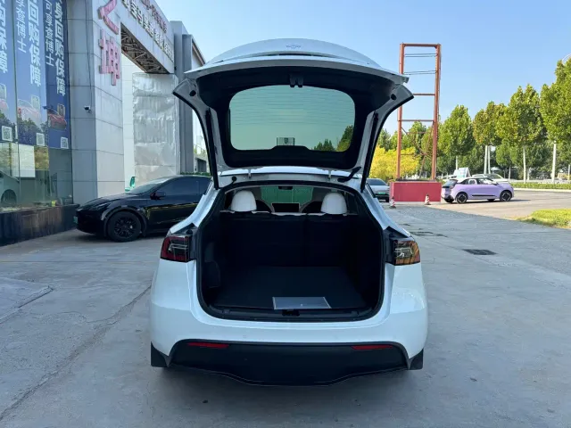 Tesla Model Y — Фото автомобиля 12