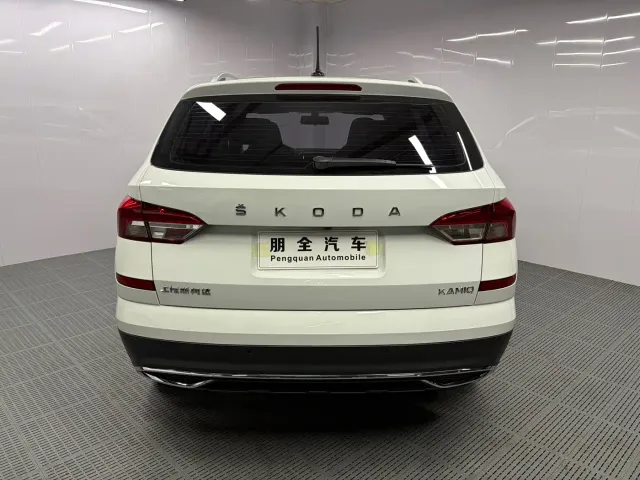 Skoda Kamiq — Фото автомобиля 18