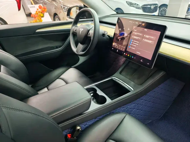 Tesla Model Y — Фото автомобиля 10