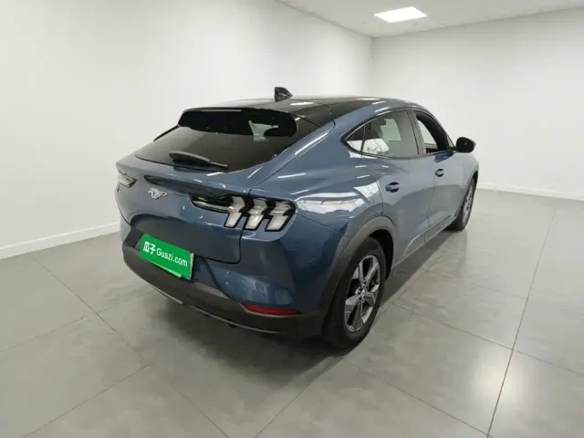 Ford Mustang Mach-E — Фото автомобиля 6