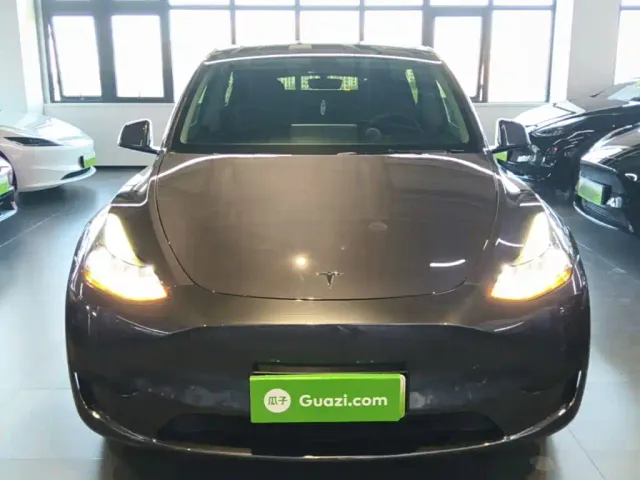 Tesla Model Y — Фото автомобиля 2