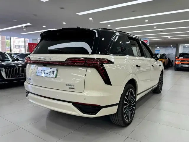 Wey Lanshan — Фото автомобиля 6