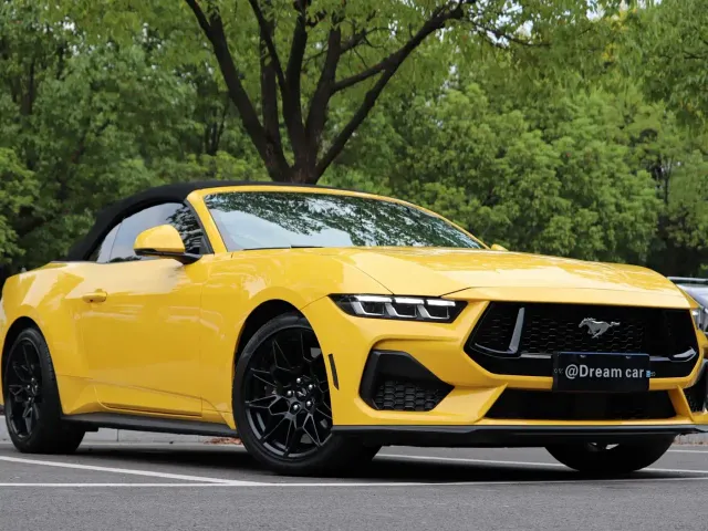 Ford Mustang — Фото автомобиля 3
