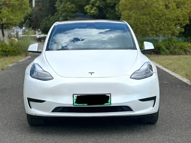 Tesla Model Y — Фото автомобиля 2