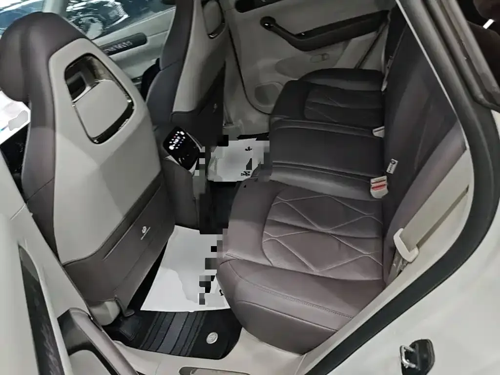 Leapmotor Leapmotor C11 2024 Pure Electric 580 Premium Edition — Фото автомобиля 16