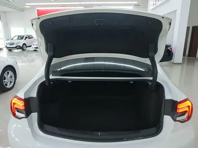 Buick Regal — Фото автомобиля 18