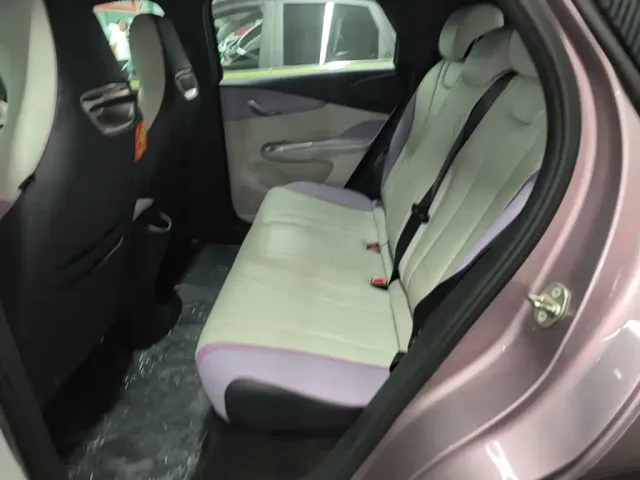 BYD Dolphin — Фото автомобиля 16