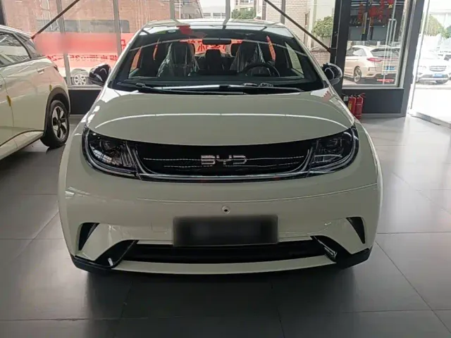 BYD Dolphin — Фото автомобиля 2