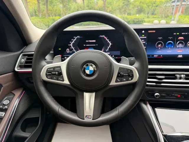 BMW 3 Series — Фото автомобиля 9