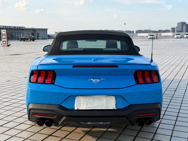 Ford Mustang — Фото автомобиля 12