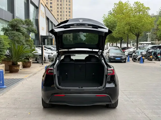 Tesla Model Y — Фото автомобиля 8