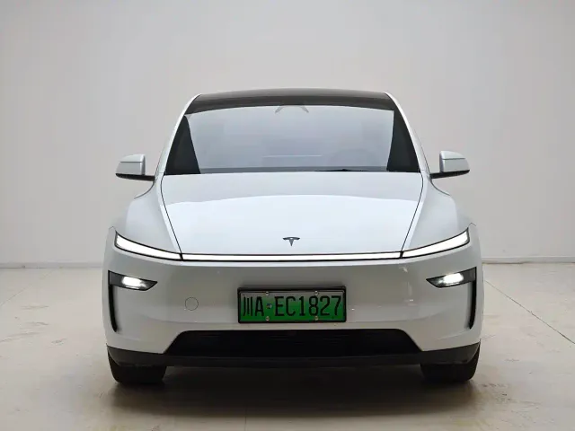 Tesla Model Y — Фото автомобиля 2