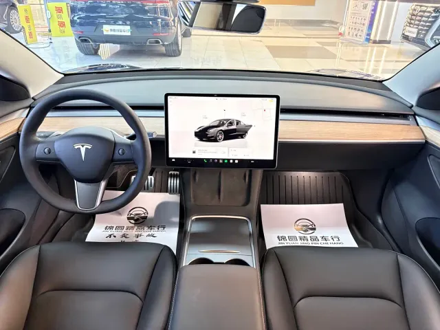 Tesla Model 3 — Фото автомобиля 12