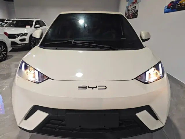 BYD Seagull — Фото автомобиля 2