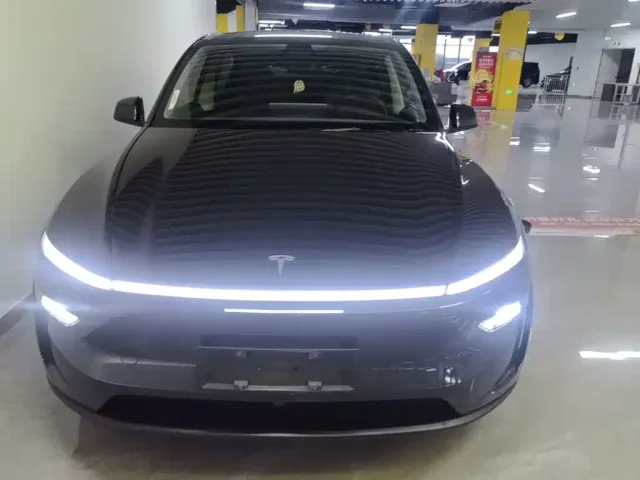 Tesla Model Y — Фото автомобиля 2