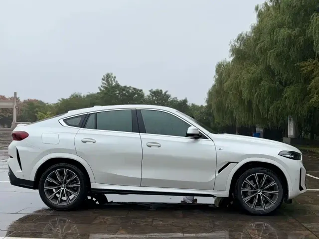 BMW X6 — Фото автомобиля 6