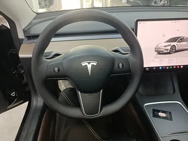 Tesla Model 3 — Фото автомобиля 10