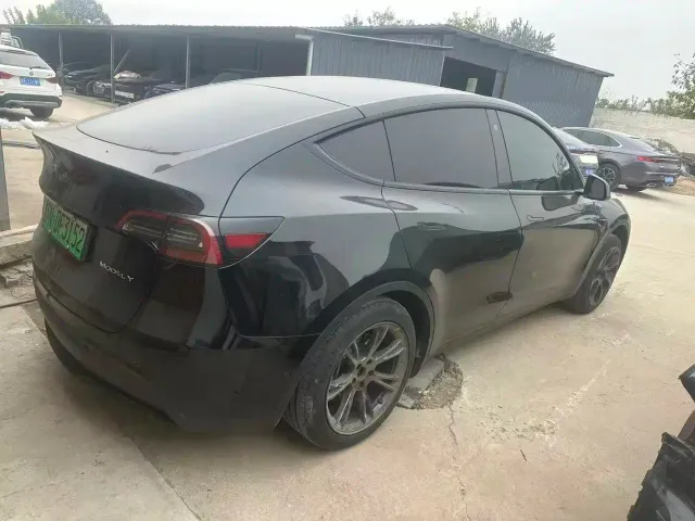 Tesla Model Y — Фото автомобиля 3