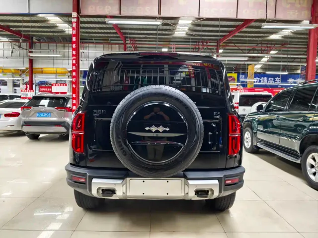 BYD FangChengBao Leopard 5 — Фото автомобиля 22