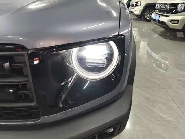 Haval Big Dog — Фото автомобиля 23
