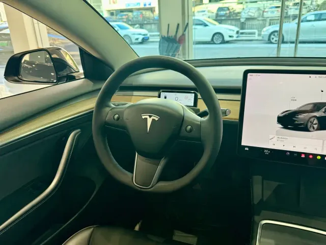 Tesla Model 3 — Фото автомобиля 11
