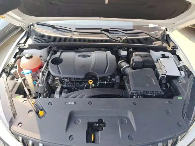 Geely Binrui — Фото автомобиля 19
