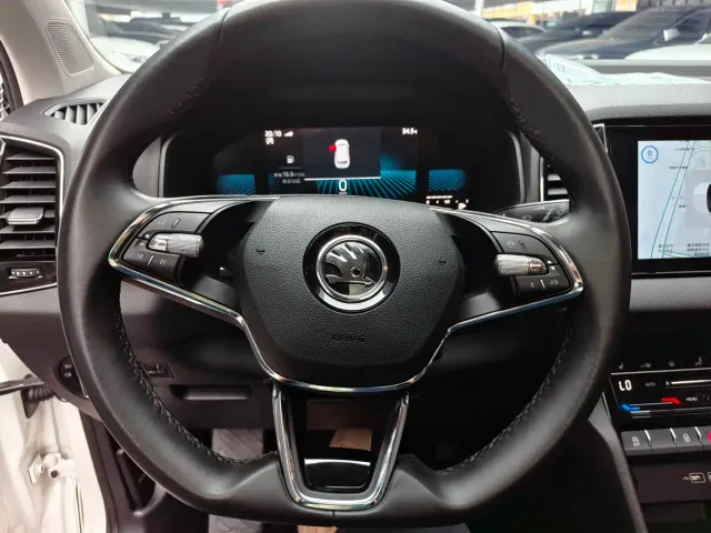 Skoda Karoq — Фото автомобиля 10