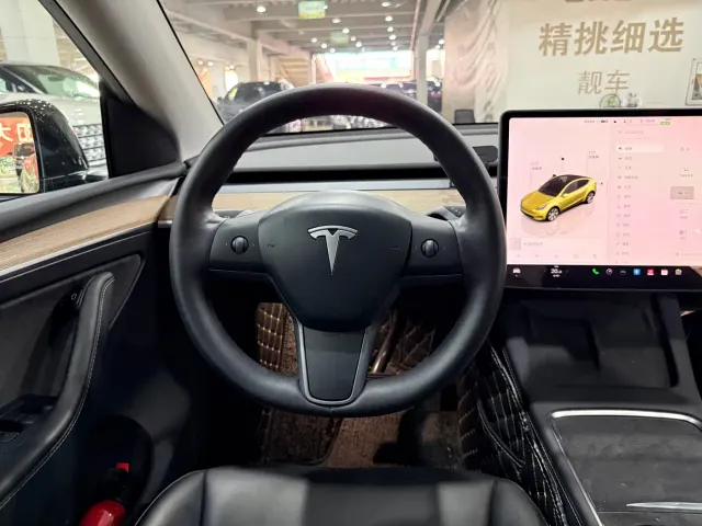 Tesla Model Y — Фото автомобиля 8