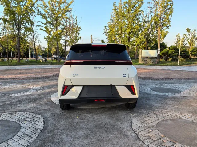 BYD Seagull — Фото автомобиля 4