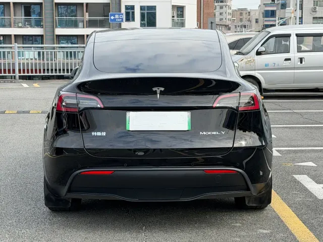 Tesla Model Y — Фото автомобиля 10