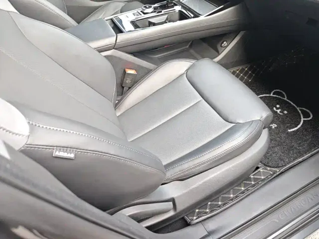 Changan Raeton Plus — Фото автомобиля 24