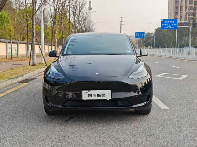 Tesla Model Y — Фото автомобиля 3