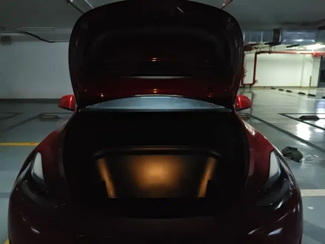 Tesla Model Y — Фото автомобиля 19