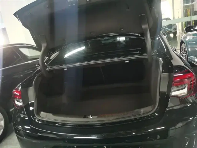 Buick Regal — Фото автомобиля 18