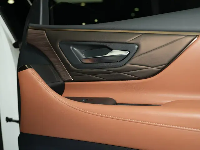 Toyota Alphard — Фото автомобиля 20