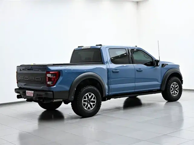 Ford F-150 Raptor — Фото автомобиля 7
