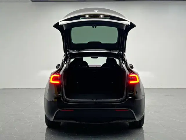 Tesla Model Y — Фото автомобиля 9