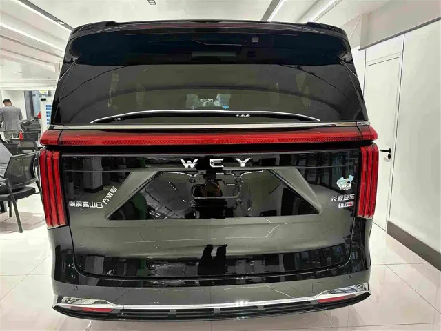 Wey Alpine — Фото автомобиля 20