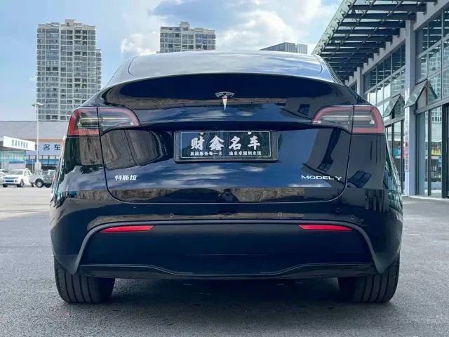 Tesla Model Y — Фото автомобиля 10