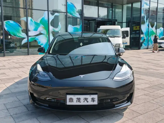 Tesla Model 3 — Фото автомобиля 3